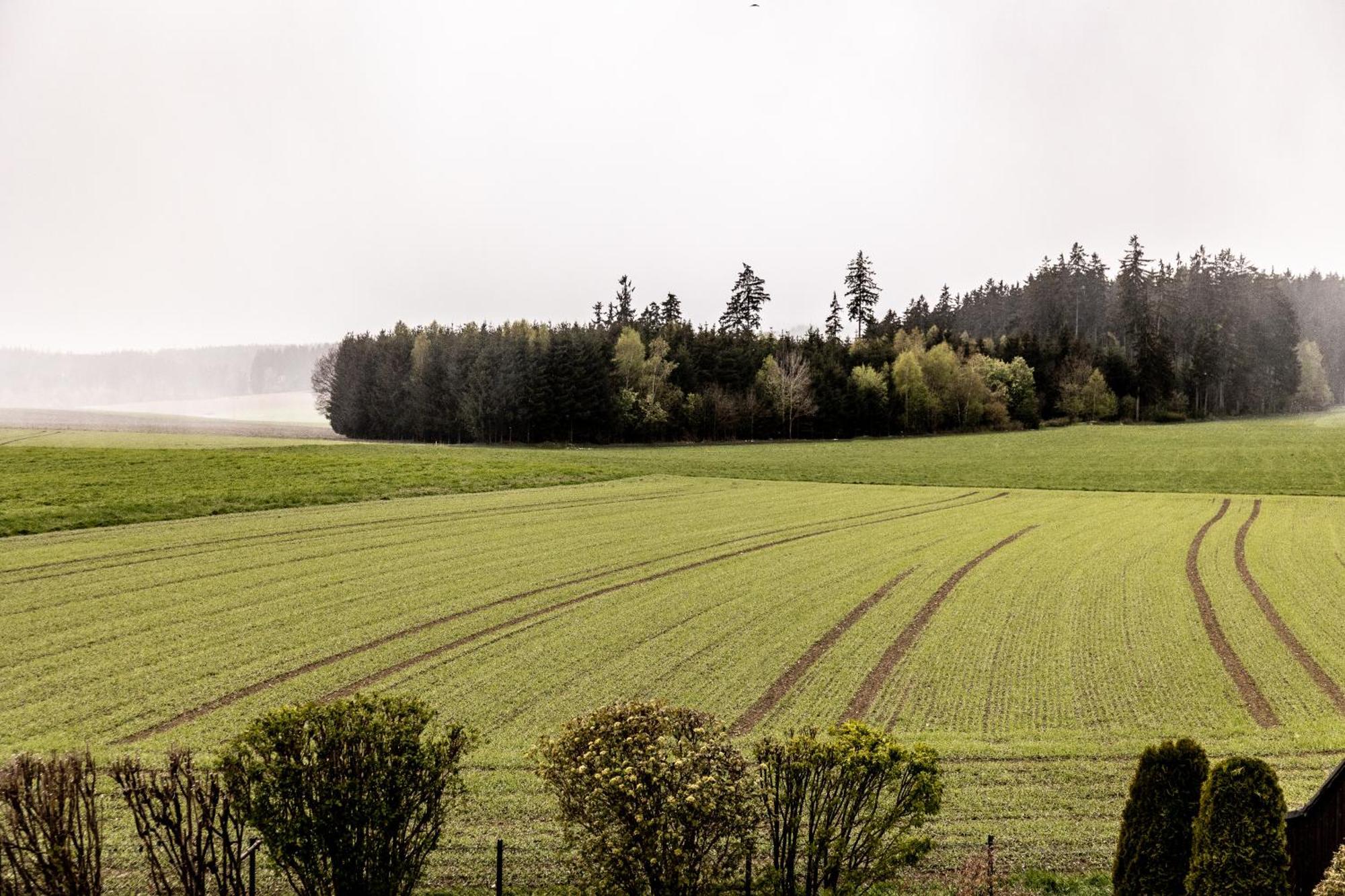 Ferienwohnung Fichtelblick Schonwald  Zewnętrze zdjęcie